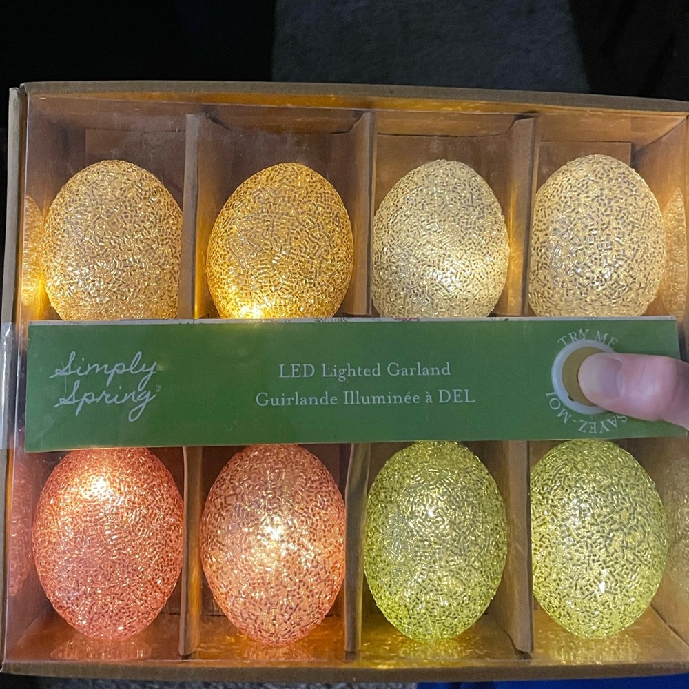Beaded egg string lights - Picture 9 of 10